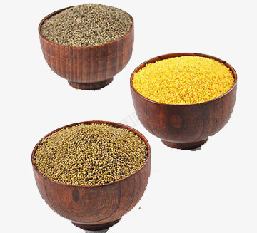 三种品种不同小米png免抠素材_88icon https://88icon.com 小米 粮食 细粮 谷粒 食材 黄金米