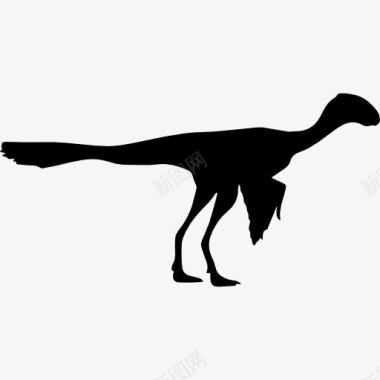 恐龙动物头骨恐龙始祖鸟的形状图标图标