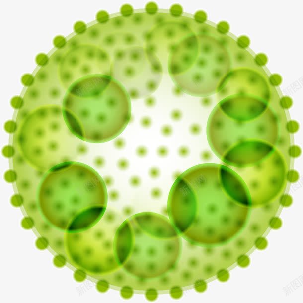 绿色细胞分裂结构图png免抠素材_88icon https://88icon.com 显微镜 生物医疗 生物学 生物研究 真菌 细胞 细胞高清大图 细菌 细菌结构 蛋白质细胞