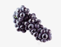 紫葡萄素材