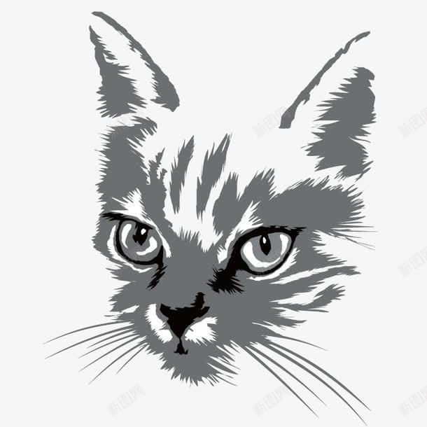 猫眼兽瞳犀利眼神png免抠素材_88icon https://88icon.com png格式 压迫 犀利的眼神 犀利眼神 猫眼