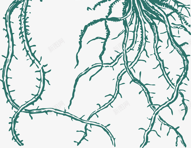 卡通秋分种子发芽线稿插画矢量图ai免抠素材_88icon https://88icon.com 插画 秋天 秋天植物 秋季 秋种 种子 种子发芽 种子发芽线稿 矢量图