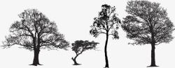 黑影树黑白线稿剪影树形状高清图片