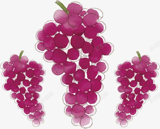 三串手绘葡萄png免抠素材_88icon https://88icon.com 手绘葡萄 新摘葡萄 矢量素材 紫葡萄 葡萄籽