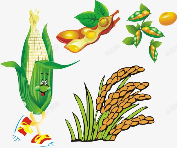 秋季丰收的果实png免抠素材_88icon https://88icon.com 丰收 南瓜 大豆 小麦 果实 玉米 秋天 秋季 秋季丰收的果实 金秋 麦子 麦穗
