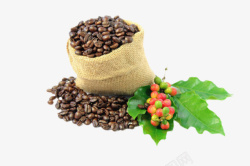 咖啡族用麻袋装着的咖啡果实物高清图片