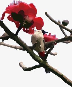 小鸟停留停留在木棉花枝的小鸟高清图片