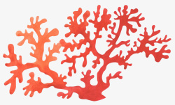 美丽的红色珊瑚礁素材