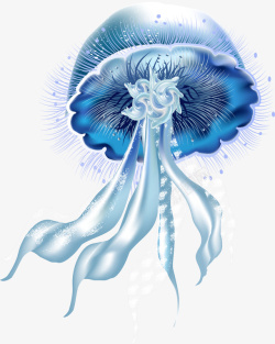 水母插画库海洋生物高清图片