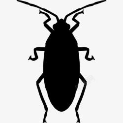 蟑螂Roach图标高清图片