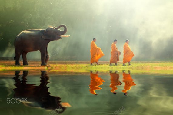 梦幻泰国大象和尚背景