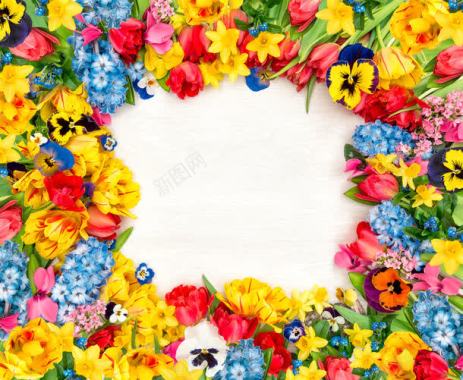 灿烂的鲜花背景