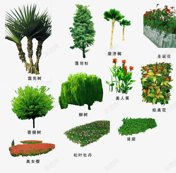 绿色植物png免抠素材_88icon https://88icon.com 3D贴图 效果图元素 盆景 绿化 绿化带 绿植 绿色植物