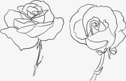 手绘素描玫瑰花素材