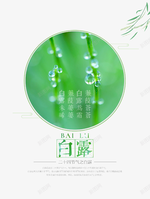 绿色唯美白露图标psd免抠素材_88icon https://88icon.com 中国传统节气 二十四节气 唯美 图标 白露 绿色 露珠