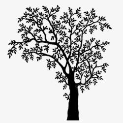 枯藤黑白树枝树木高清图片