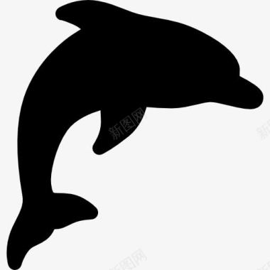 水族馆海豚图标图标