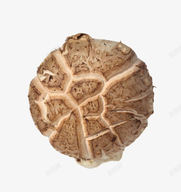 干裂的香菇表面png免抠素材_88icon https://88icon.com 南北干货 干燥 干裂 干货 食材 香菇