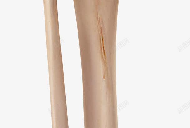 人体膝关节模型png免抠素材_88icon https://88icon.com 人体结构 医学 模型 膝盖 血管