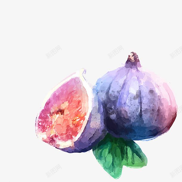 水彩无花果png免抠素材_88icon https://88icon.com 切开 手绘 无花果 水彩