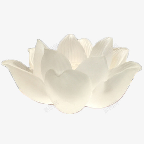 琉璃绽放白色侧面睡莲png免抠素材_88icon https://88icon.com 池塘 琉璃白色侧面睡莲 白睡莲 白色 白莲 睡莲 竹子荷花荷叶满池塘 花卉之荷花 花蕊 荷叶 荷花 莲叶 莲花 黄色花蕊