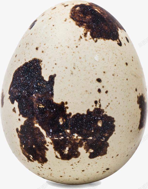一颗小小的鹌鹑蛋png免抠素材_88icon https://88icon.com 实物图 简图 美味的 花斑 蛋类 食物 鹌鹑蛋