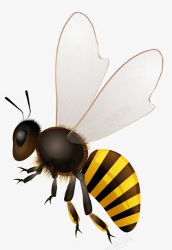 勤劳的手绘昆虫蜜蜂高清图片