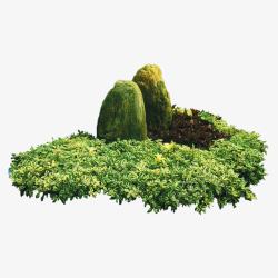 植物造型图片园林绿化带高清图片