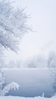 冬天洁白雪景手机端H5背景背景