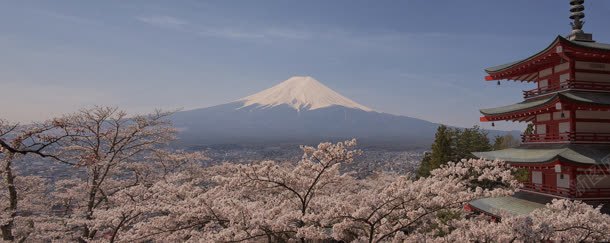 樱花富士山房屋蓝天背景