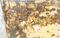 金黄色金属氧化锈蚀腐化纹理背景素材