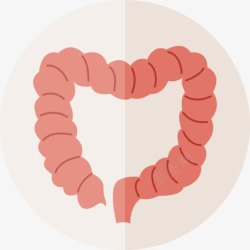 大肠和小肠肠图标高清图片