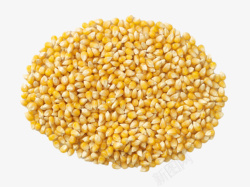 农作物免费PNG图片实物一堆熟玉米粒高清图片