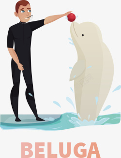 饲养员与白色海豚玩耍矢量图素材