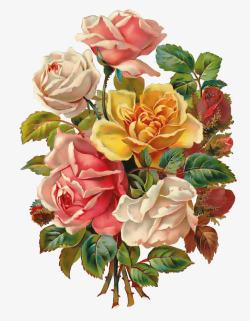抽象花朵花束唯美玫瑰花素材