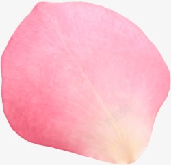 粉红色的玫瑰花花瓣效果素材