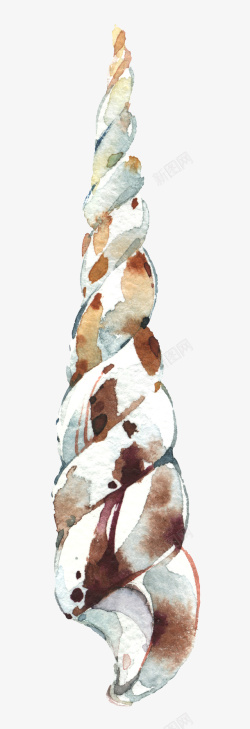 贝类海报手绘细长海螺装饰高清图片