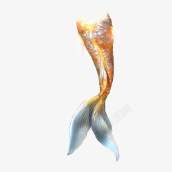 黄色美人鱼美人鱼的尾巴高清图片