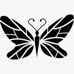 多观点黑色的蝴蝶翅膀上的观点与线路标图标高清图片