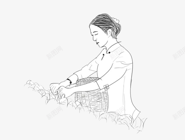 采茶女侧面半身手绘素描图案png免抠素材_88icon https://88icon.com 侧面半身 图案 手绘风格 素描风格 茶叶制作 装饰 采茶女 采茶姑娘 采茶手绘