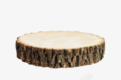 黑色干瘪的树皮木头截面实物素材