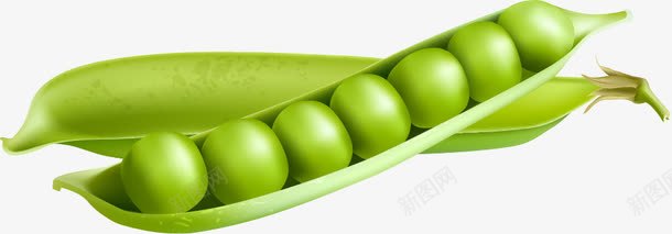 手绘豌豆png免抠素材_88icon https://88icon.com 免抠PNG 剥开的豌豆 新鲜 绿色 蔬菜 豆类 食材