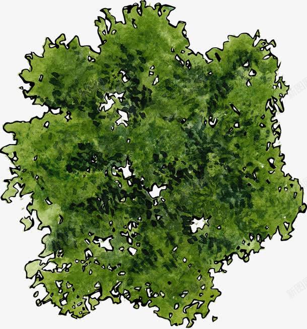绿色树的俯视图png免抠素材_88icon https://88icon.com ps植物平面贴图 俯视图 俯视树木 树俯视图 植物 绿色 装饰