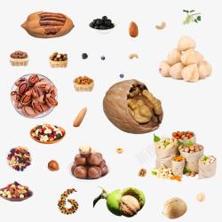榛子果坚果高清图片