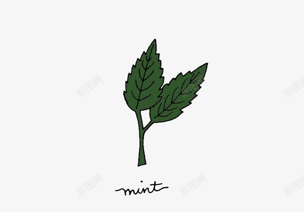 手绘草药薄荷矢量图ai免抠素材_88icon https://88icon.com 手绘图片 植物 草药 薄荷叶 矢量图