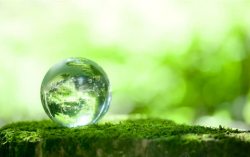 玻璃球景色绿色环保青苔素材