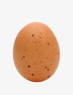 褐色鸡蛋带黑子斑点的初生蛋实物素材