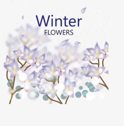 浪漫的冬日花朵素材