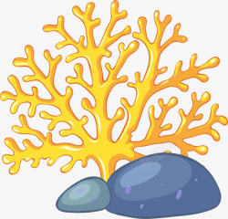 美丽的石头海洋植物美丽珊瑚高清图片