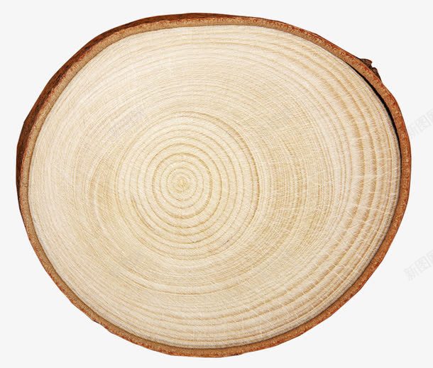 树的年轮png免抠素材_88icon https://88icon.com 复古色 大树枝 年轮纹理 木材 树干 树的年轮 棕色树皮